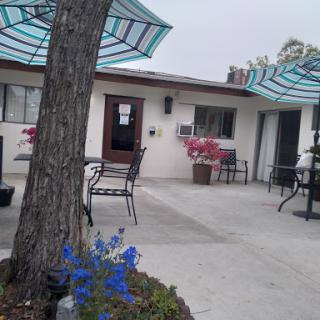 A serene outdoor patio area featuring colorful flowers, seating arrangements, and umbrellas for shade.