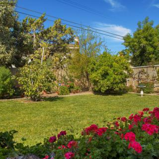 A lush garden with vibrant red flowers and green trees under a clear blue sky.