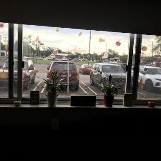 A view of parked cars and plants from inside a building.