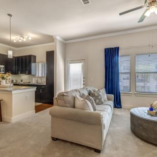 A modern, open-concept living room and kitchen with a cozy sofa and stylish decor.