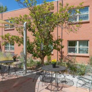 A sunny outdoor patio with tables, chairs, and a tree next to a building.