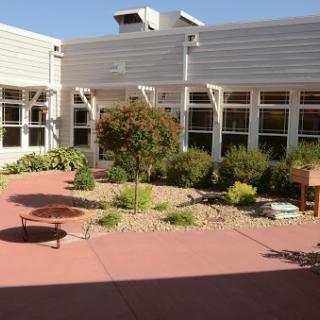 A serene courtyard featuring a beautifully landscaped garden under clear blue skies.