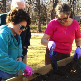 A group of people engaged in gardening, working together with soil in an outdoor setting.