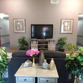 A cozy living room featuring a television, sofa, and various decorative plants and vases.