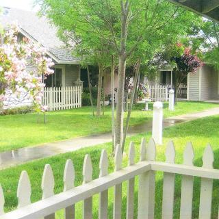 A tranquil residential neighborhood with white picket fences and lush green lawns.