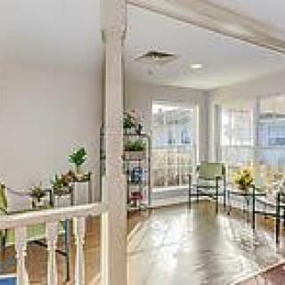 A bright and modern living room with ample natural light, featuring comfortable seating and decorative plants.