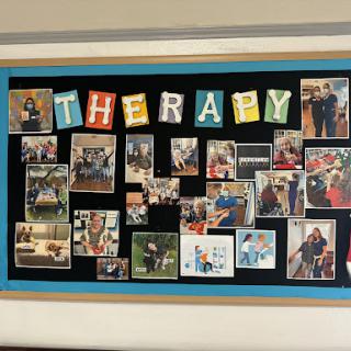 A vibrant collage celebrating the various aspects of therapy and community engagement.