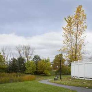 A scenic view of a pathway surrounded by trees with autumn foliage under an overcast sky.