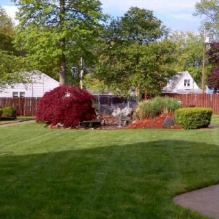 A well-maintained suburban garden with a neatly trimmed lawn, colorful bushes, and surrounding trees.