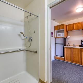 View of a small apartment featuring a bathroom with a shower and a kitchenette with appliances.