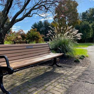 A serene park bench surrounded by lush greenery and a clear blue sky.