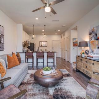 A modern apartment living room with stylish decor and an open kitchen layout.