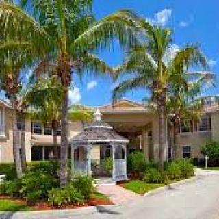 A sunny day view of a building entrance surrounded by palm trees and a small gazebo.
