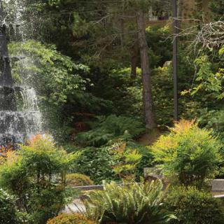 A serene waterfall cascading through a lush forest landscape.