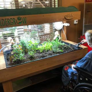 A person in a wheelchair tends to an indoor garden with plants under specialized lighting.