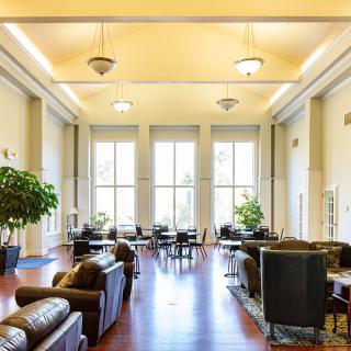 A modern lounge with comfortable seating, large windows, and indoor plants.