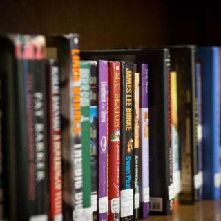 A row of colorful books neatly arranged on a library shelf.