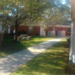 A sunny outdoor area with a walkway, surrounded by grass and trees, leading to a building.