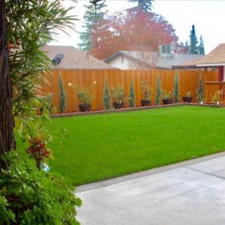 A well-maintained backyard with a lush green lawn and a wooden fence.