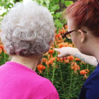 Two people enjoying a garden filled with vibrant orange flowers.