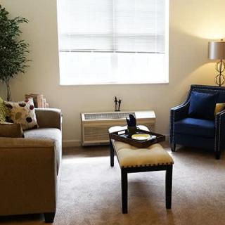 A cozy living room with comfortable seating and natural lighting.