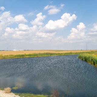 A serene view of a wetland area with a calm body of water reflecting the beautiful sky and clouds.