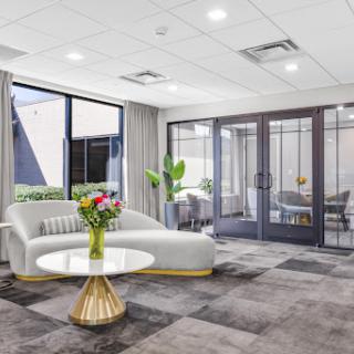 A stylish modern lounge area featuring a comfy couch, decorative plants, and ample natural light.