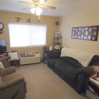 A cozy living room with a sofa, armchair, and various decorations.