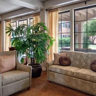 A cozy living room with a sofa, armchair, and large windows adorned with curtains and a potted plant.