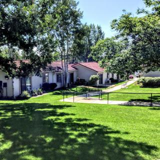 A sunny day in a residential neighborhood with green lawns and trees.