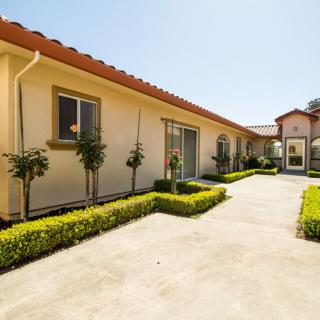 A sunny courtyard with neatly trimmed hedges and a residential house.