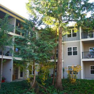 A view of an apartment building surrounded by trees, featuring balconies and greenery.