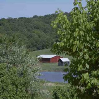 A serene rural landscape featuring a red barn and a calm pond surrounded by lush greenery.