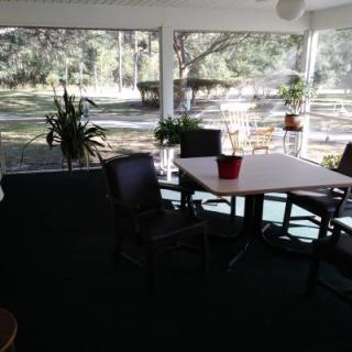 A sunlit room with a table and chairs surrounded by plants and large windows.