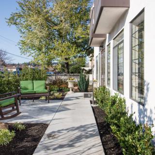 A modern patio area with a walkway, benches, and landscaping featuring various plants and trees.