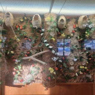 A vibrant indoor display featuring butterflies and nests among lush greenery.