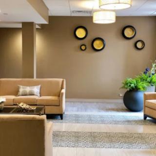 A modern lobby with beige sofas, circular wall art, and a large potted plant.