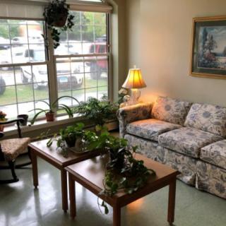 A cozy living room with a floral sofa, coffee tables adorned with plants, and a large window letting in natural light.