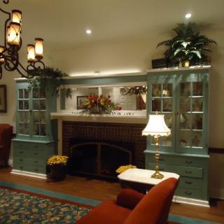 A cozy living room featuring a fireplace with surrounding bookshelves, decorative plants, and warm lighting.