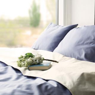 A cozy bed with blue pillows, a book, and flowers near a window.