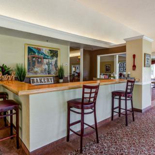 An interior view of a bar area with high chairs and decorative elements.