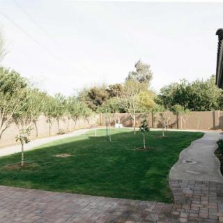 A spacious backyard featuring a well-maintained lawn with several young trees, surrounded by a wooden fence and accompanied by a paved pathway.