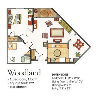 Woodland apartment floor plan featuring one bedroom, one bathroom, a full kitchen, living room, and dining area.