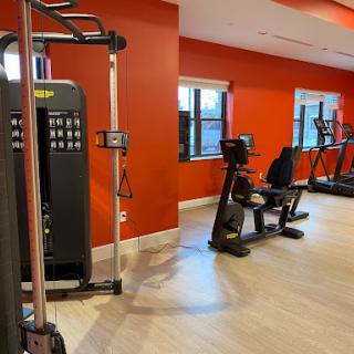 A well-equipped gym featuring various exercise machines in a vibrant setting.