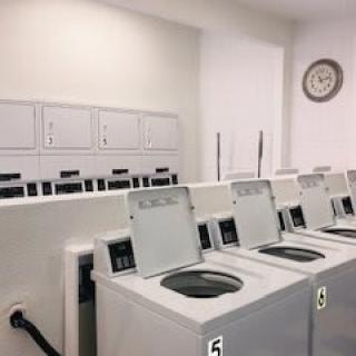 A clean and organized laundry room with multiple washing machines lined up in rows.