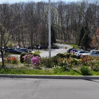 A landscaped area with colorful flowers in front of a parking lot and trees.