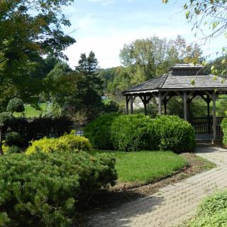 A serene garden featuring a wooden gazebo surrounded by lush greenery and a paved pathway.