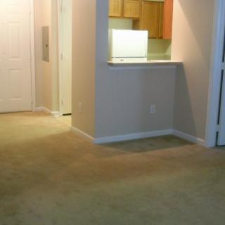 An empty apartment interior featuring a carpeted living room and a view into the kitchen area.