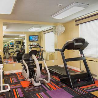 A small indoor gym featuring a treadmill and exercise bike.
