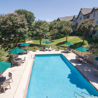 A sunny outdoor swimming pool area with green umbrellas, surrounded by trees and buildings.